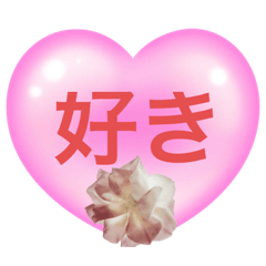 Rinn_20230429212350