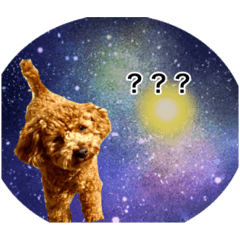 nozomi_20230429205425