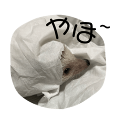 __omo