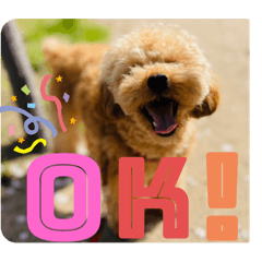 Inari zushi_20230429211645