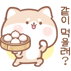 Baozi Shiba-daily life(Korean)