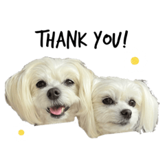 omochi_20230429224041