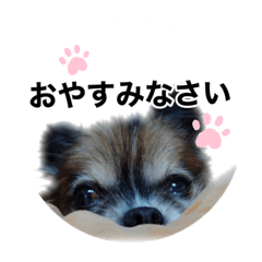 kaede_20230429231746
