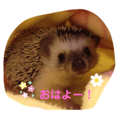 MEGUMI_20230429232012