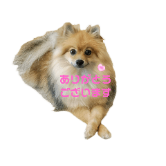 kana_20230430131712