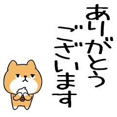 keigokeigoinuinu35
