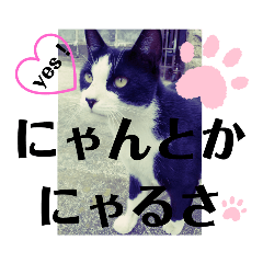 LOVE猫stamp