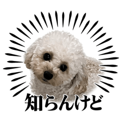 Natsumi_20230430152904