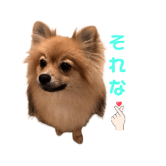 kana_20230430163732