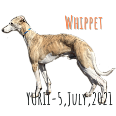 YUKARI_20230430132857