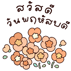 Hello Thursday Collection