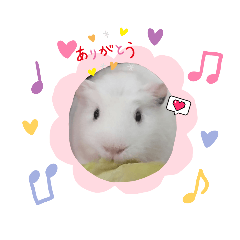 omochi_20230430165518