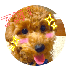 Sunny_20230430165403