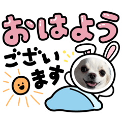 SAKURA_20230430175417