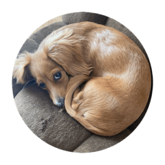 Shiho_20230430183358