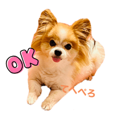 Monaka_20230430192841