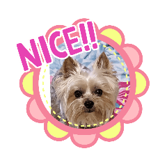 NAGAYO_20230430201424