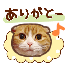 Cute cat Sticker. Munchkin 2