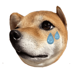 mano_20230430194043