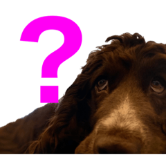 coperu_20230430200743