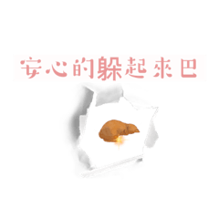 療癒一下貓貓02