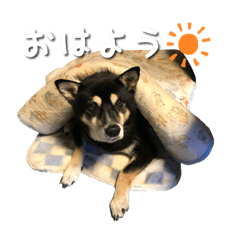 natsumi_20230430214439