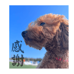 yuka_20230430204525