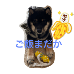 t.taku_20230501105222