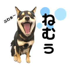 Yuka_20230430185723