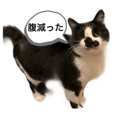 hana_20230501022216
