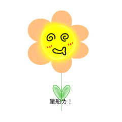 花花有話要說～～