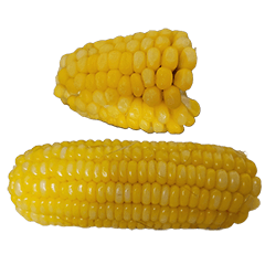 Food Series : Some Corn #4