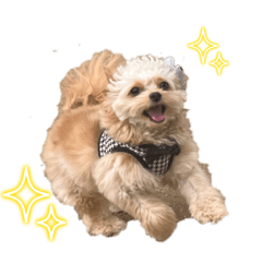rinrin_20230501134557