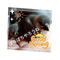 miyoko_20230501230326