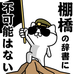 『棚橋』お名前/軍人にゃんこ