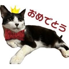 Natsumi_20230501225537