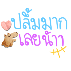 Thanaphat nnn_20230501204130