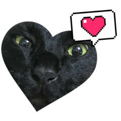 18sirokuma_20230502001007