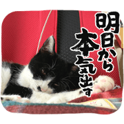 yumi69_20230502014958