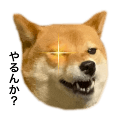 mano_20230502001659