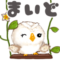 Snowy owl Kansai dialect
