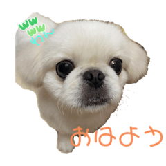 fuwa_20230502123054