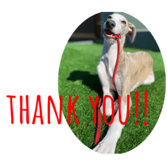 YUKARI_20230502125149