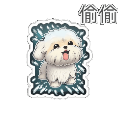 mismatch_maltese