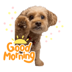 kubobo_20230501232005