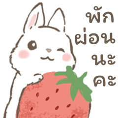 pu-pu-Rabbit(thai) – LINE stickers | LINE STORE