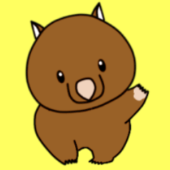 Cheerful wombat