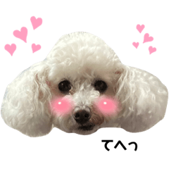 Megumi_20230502154714