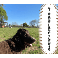 coperu_20230502160541