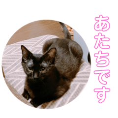 HIKARI_20230502164842